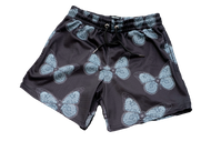 BUTTERFLY EFFECT SHORTS